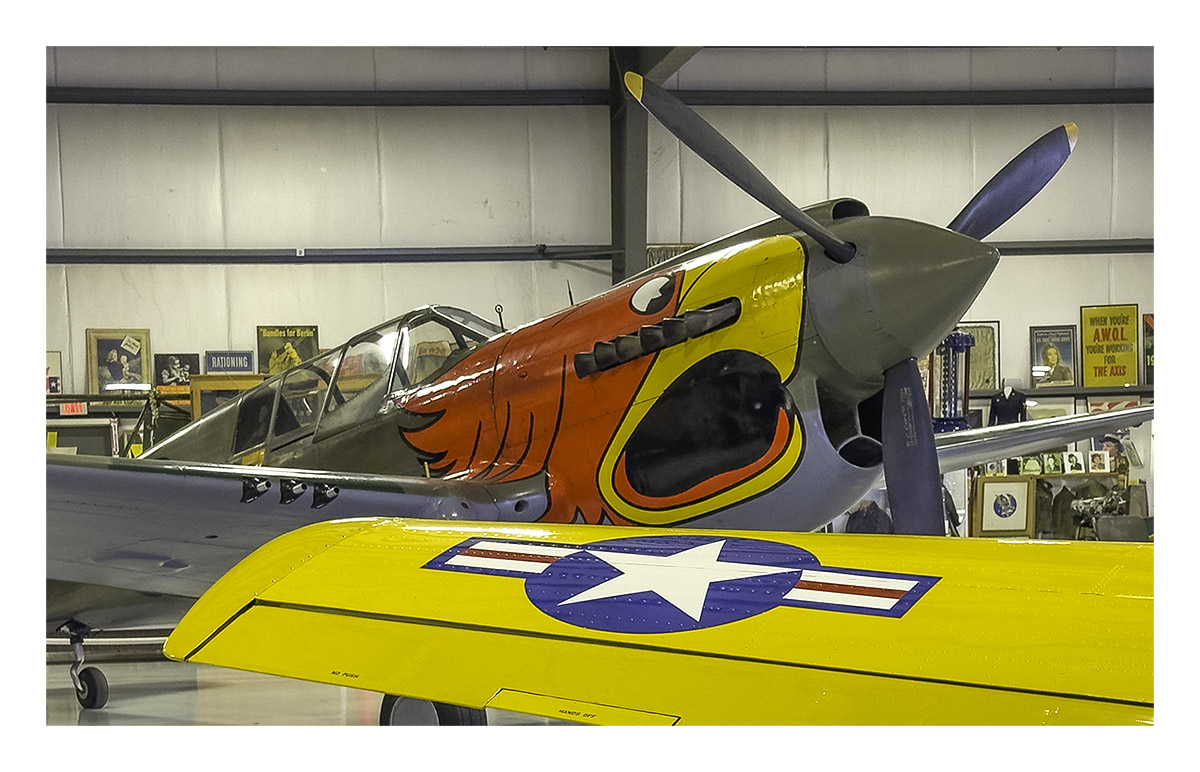 Warhawk Air Museum