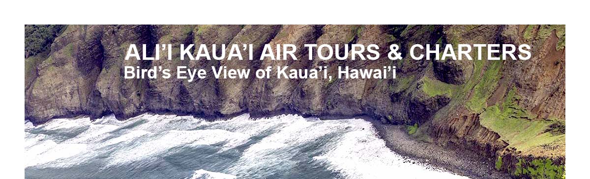 Ali'i Air Tours and Charters