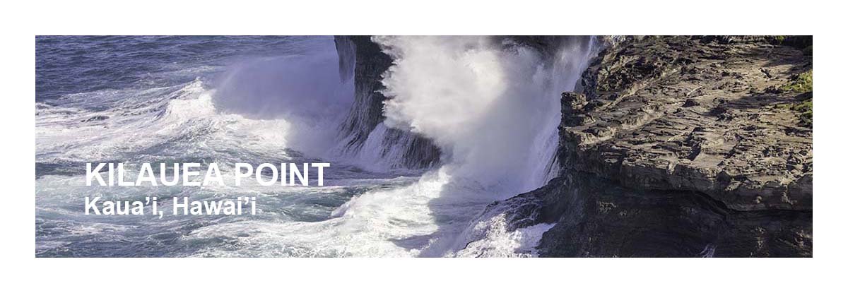 Kilauea Point NWR