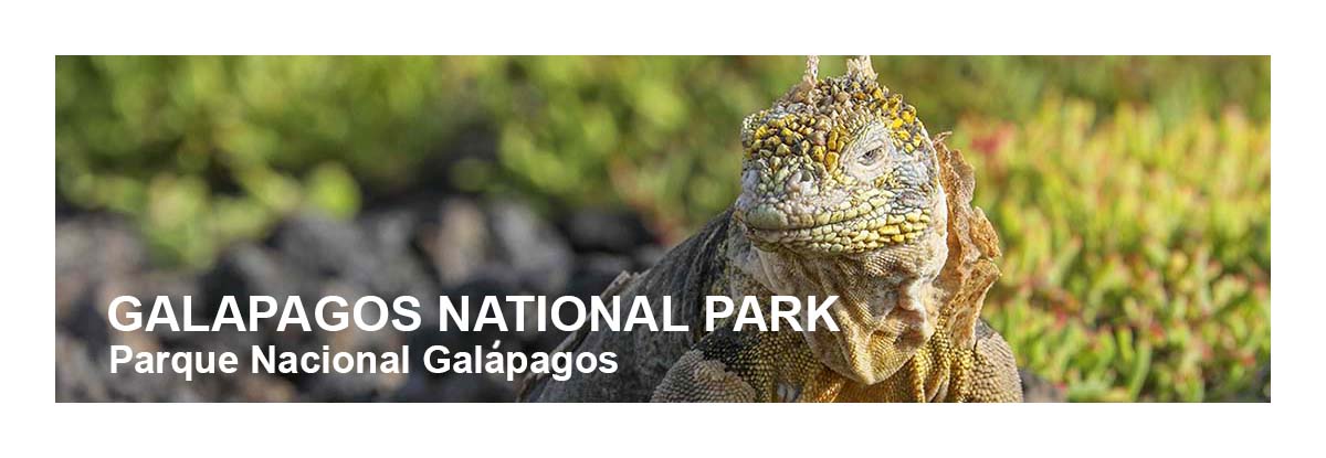 Galapagos NP