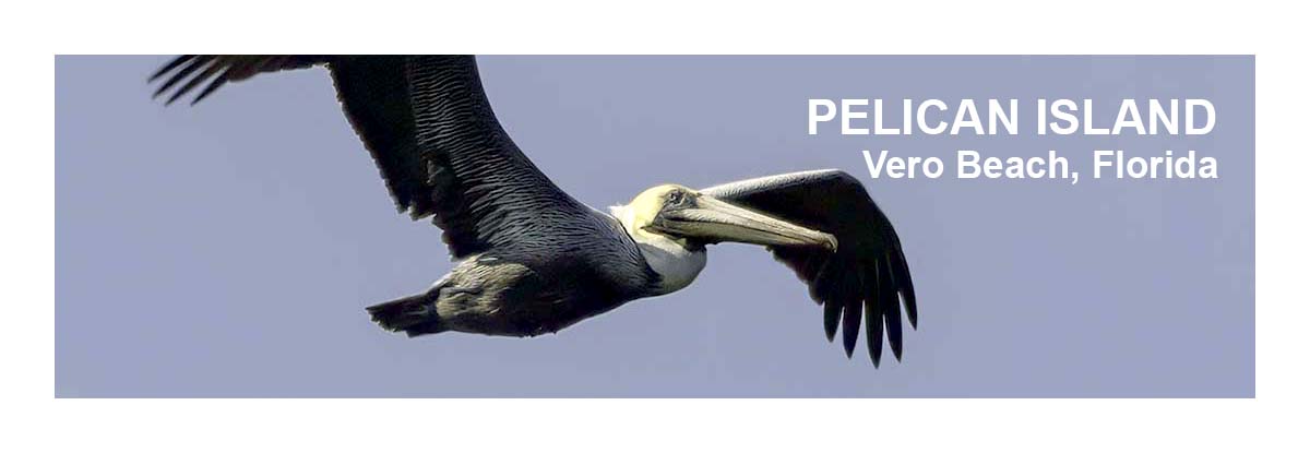 Pelican Island NWR