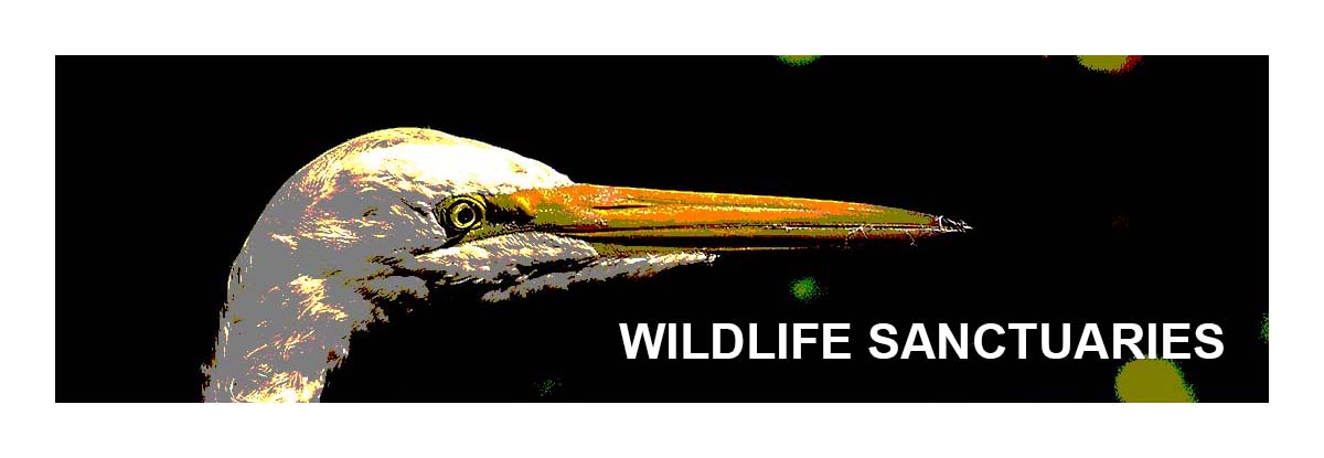 Wildlife Sanctuaries
