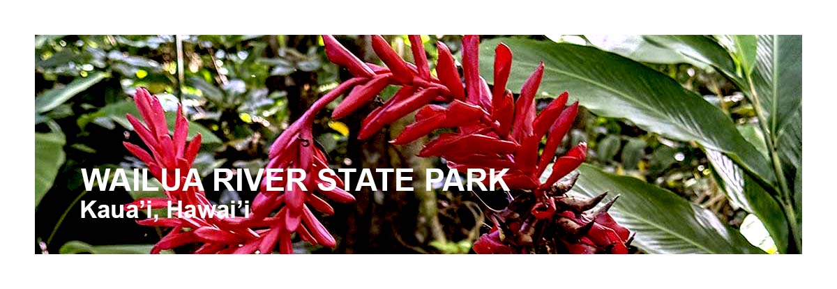 Wailua River State Park