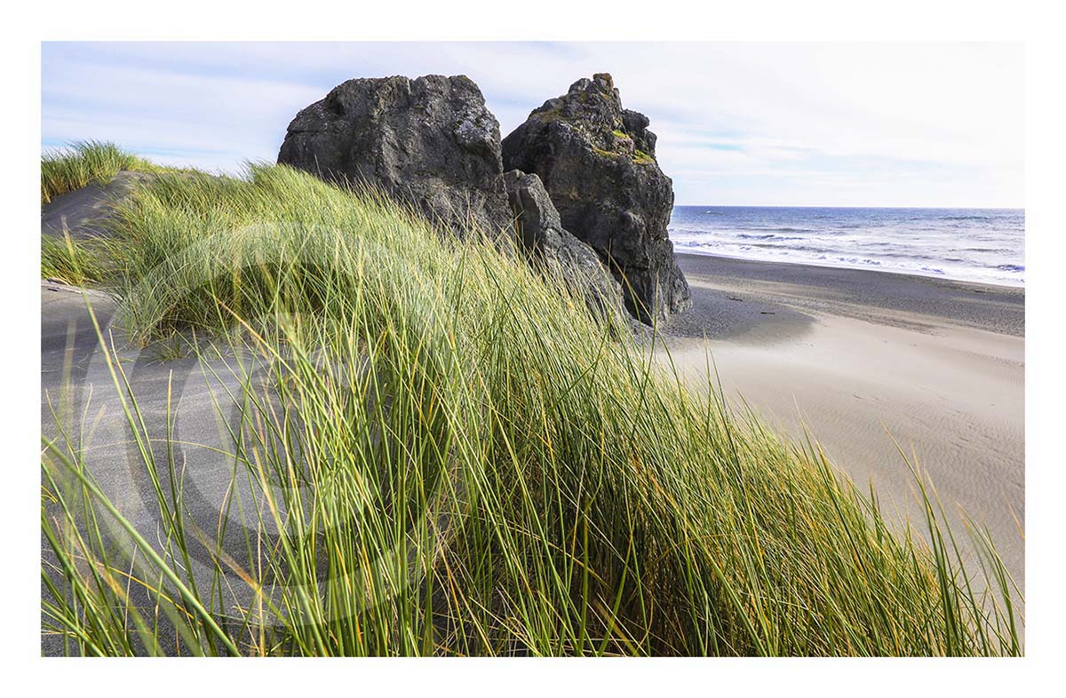 Pacific Dunes