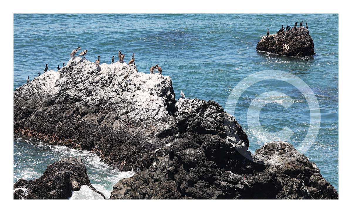 Rocky Coast