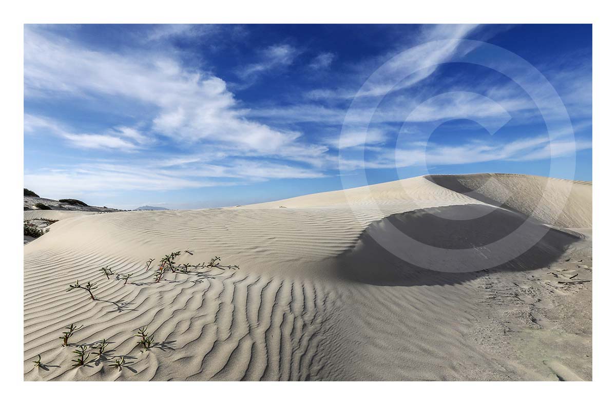Baja Dunes
