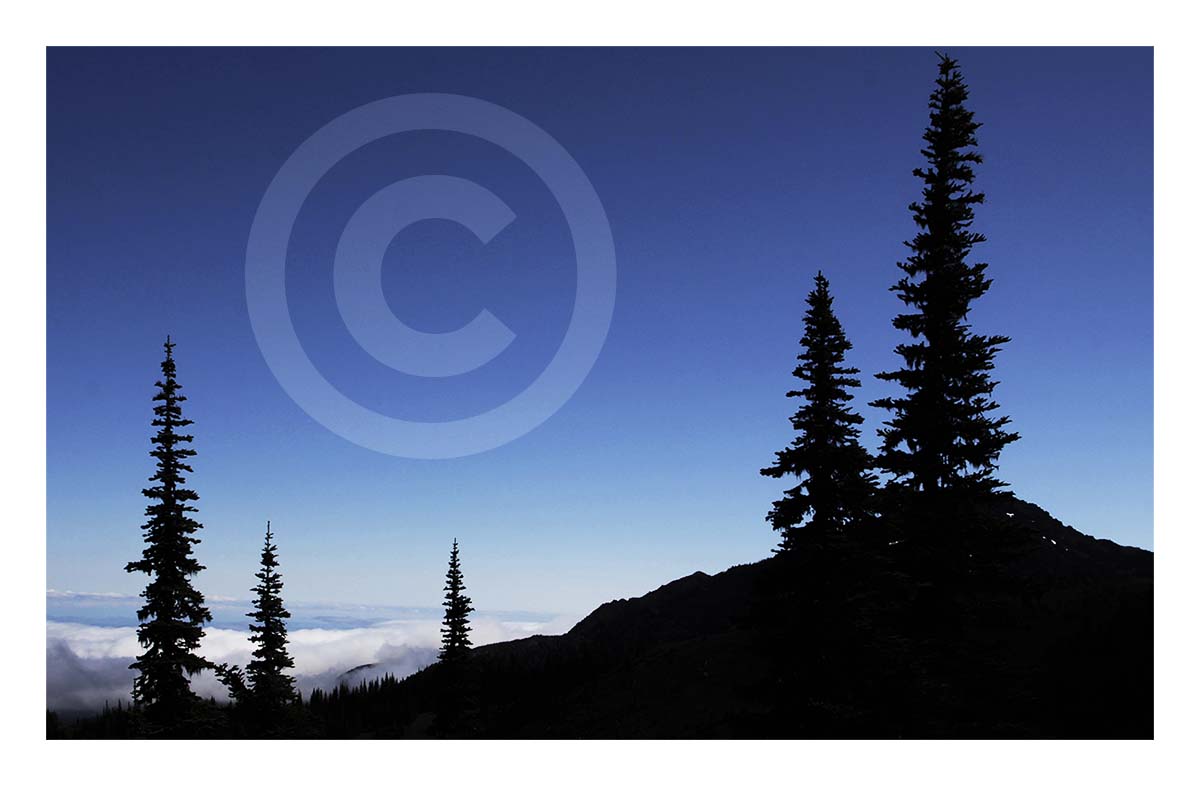 Olympic National Park