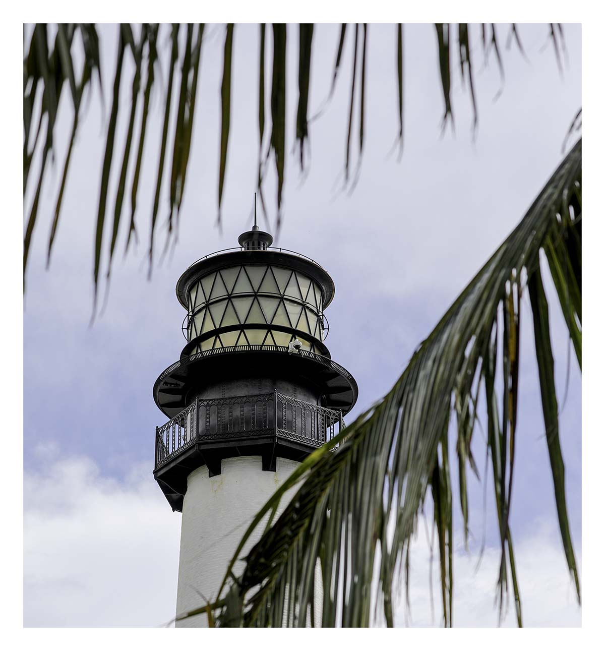 Cape Florida LH