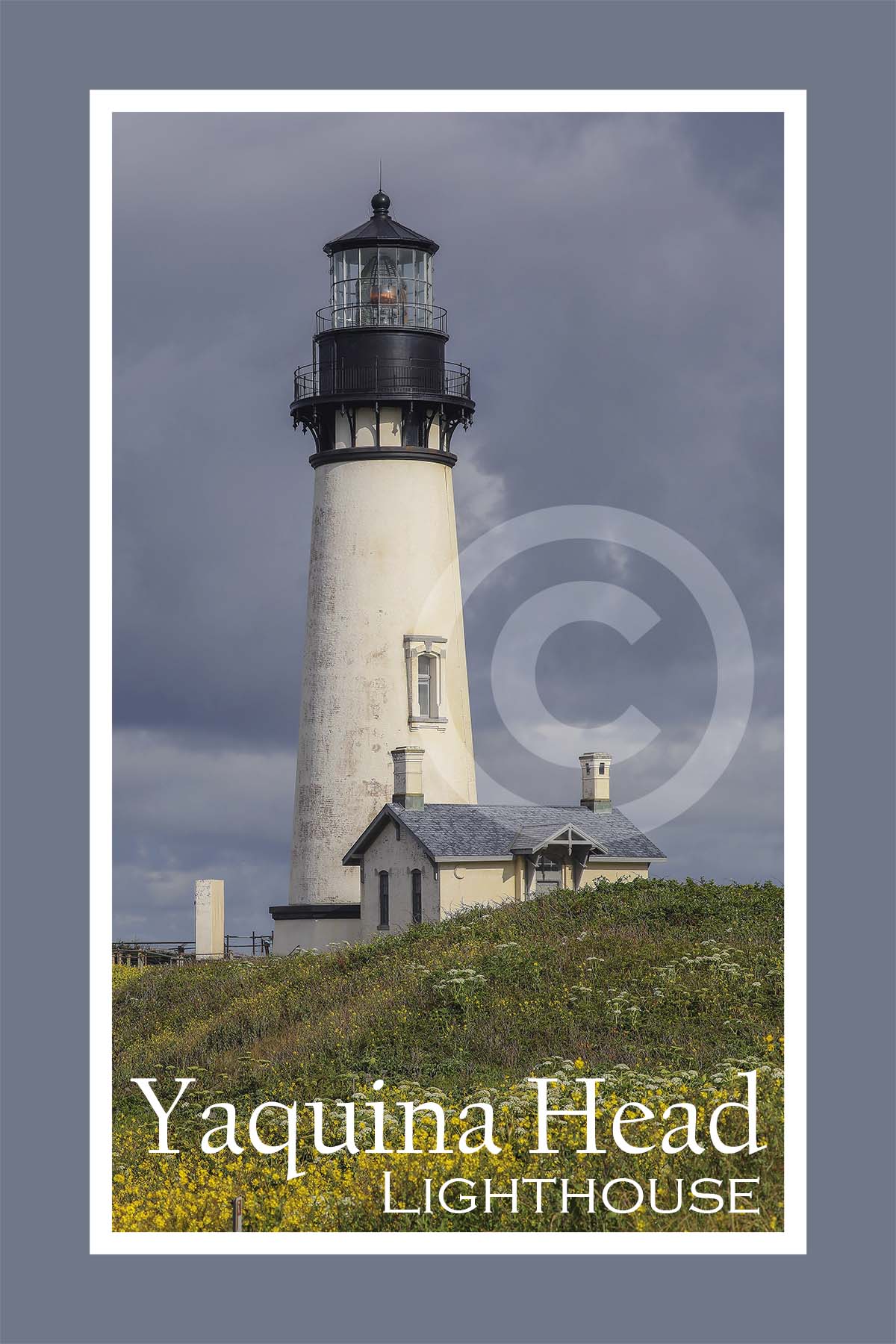 Yaquina Head