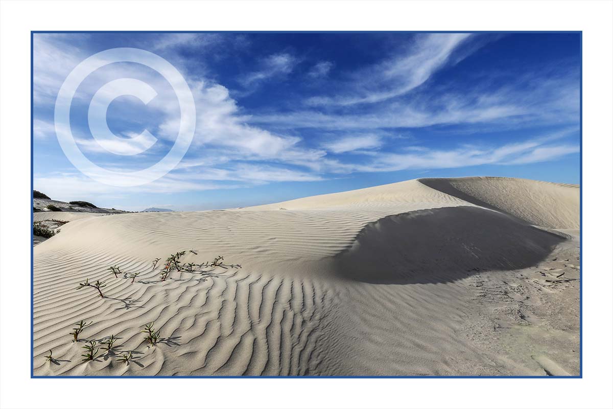 Baja Dunes