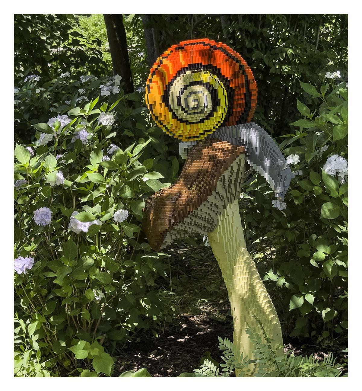 Westbury Gardens