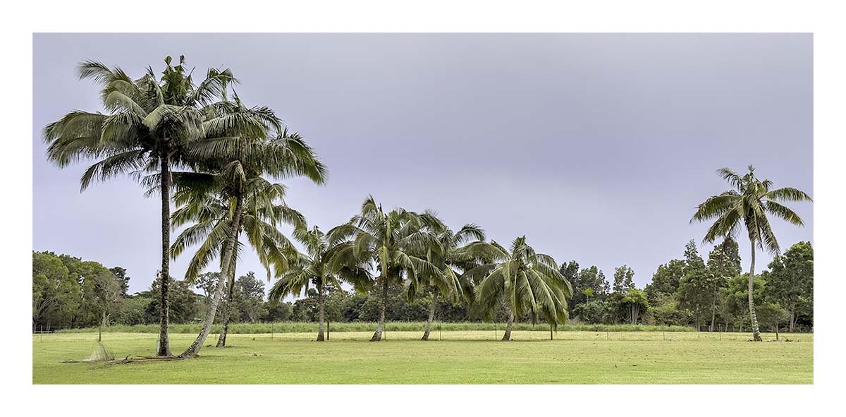 Kilohana Plantation