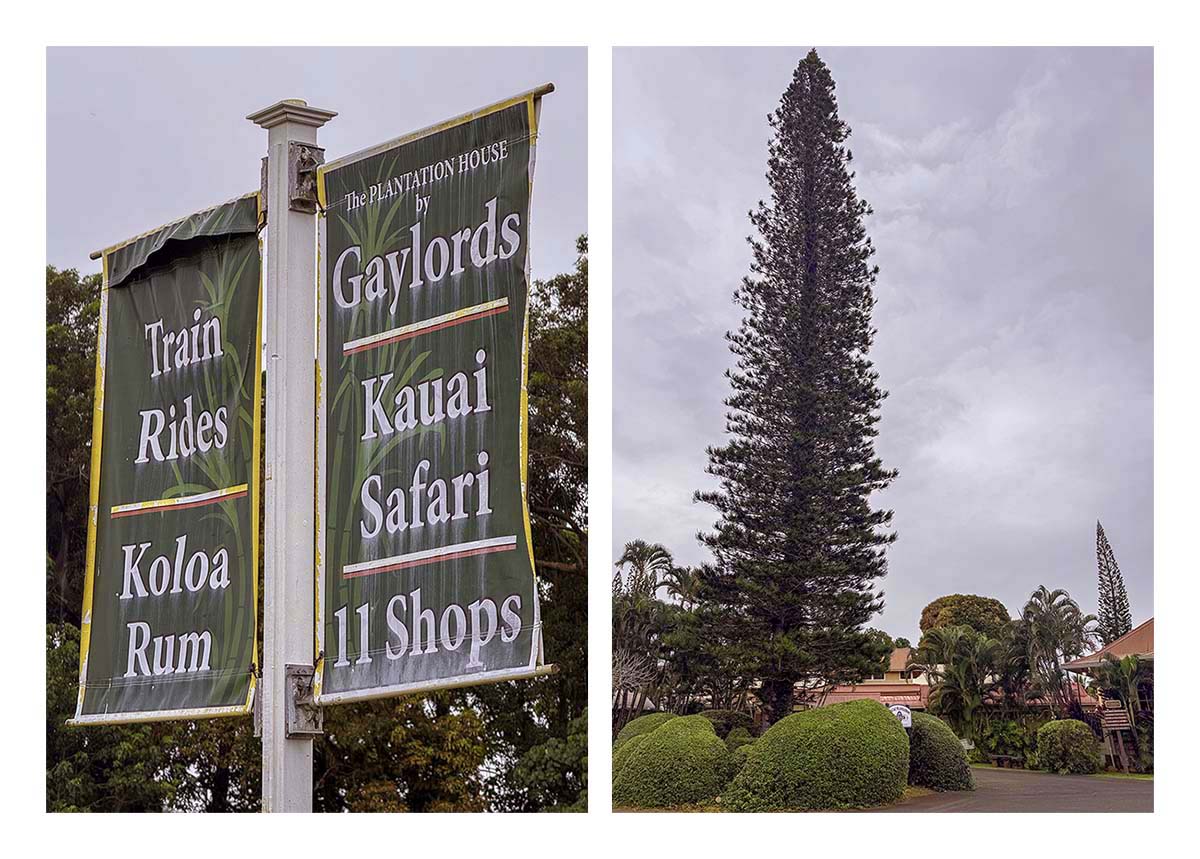 Kilohana Plantation