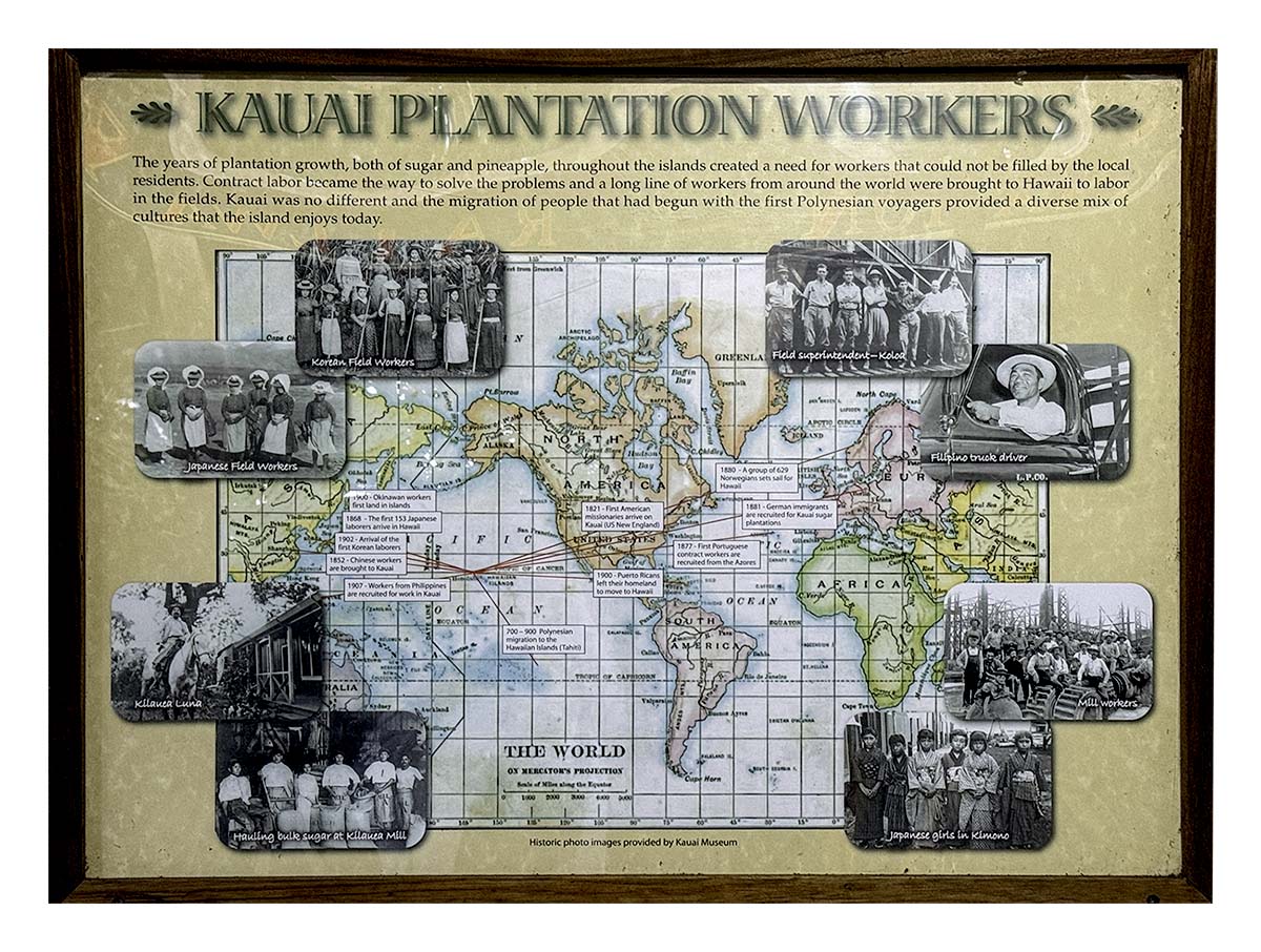 Kilohana Plantation