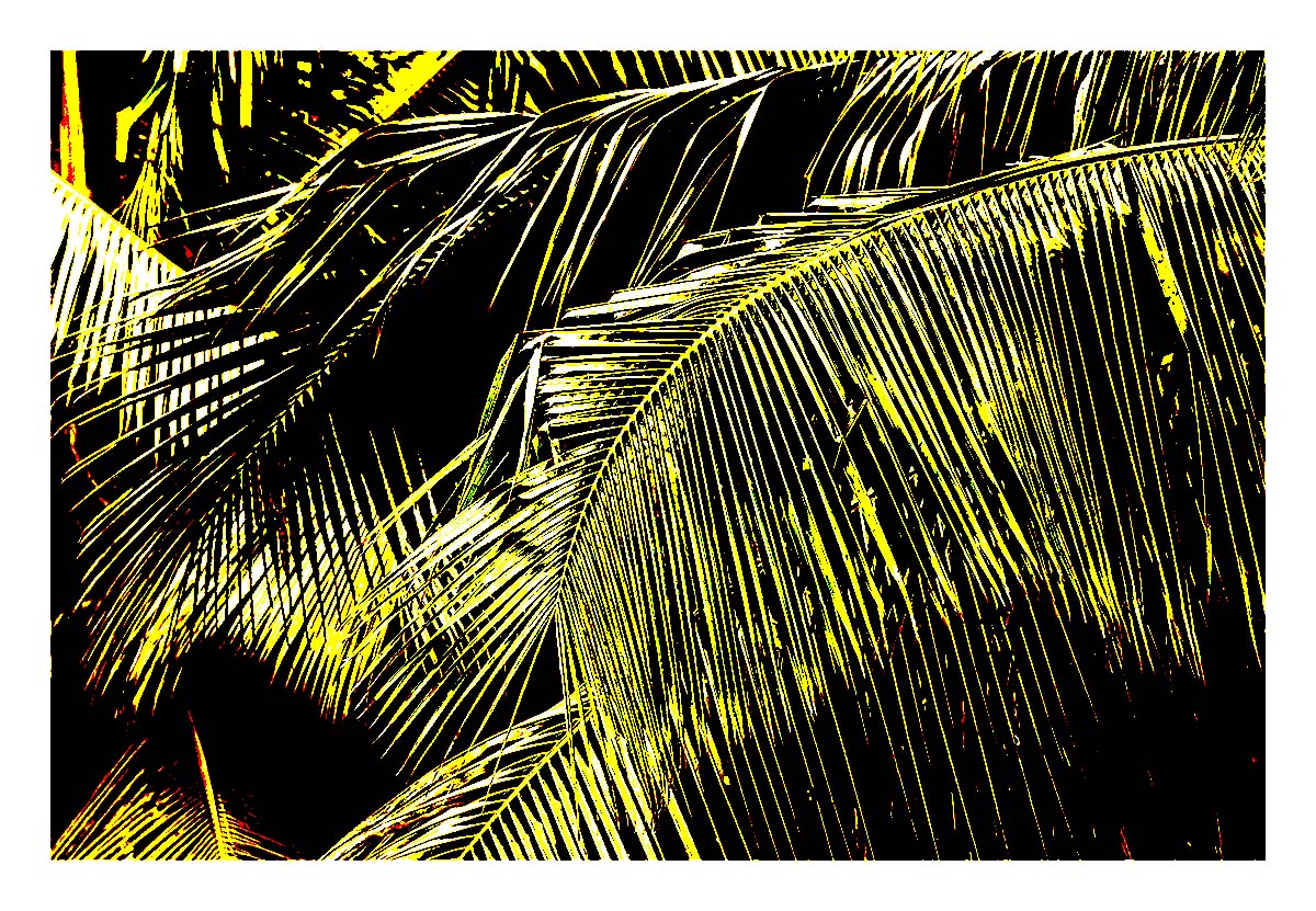 Kilohana Plantation