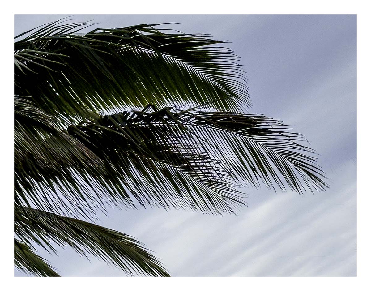 Kilohana Plantation