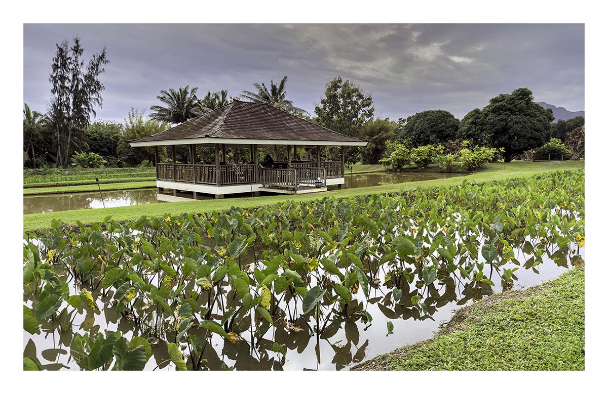 Kilohana Plantation