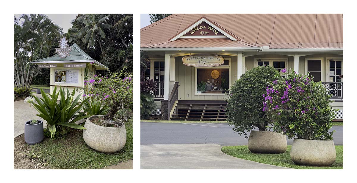Kilohana Plantation