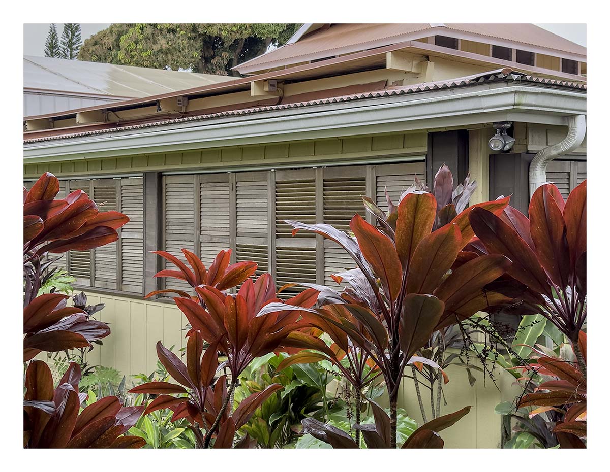 Kilohana Plantation