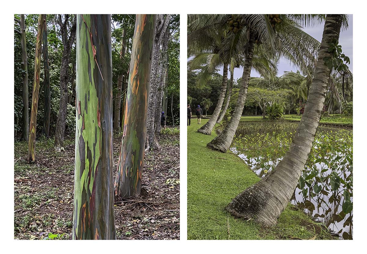 Kilohana Plantation