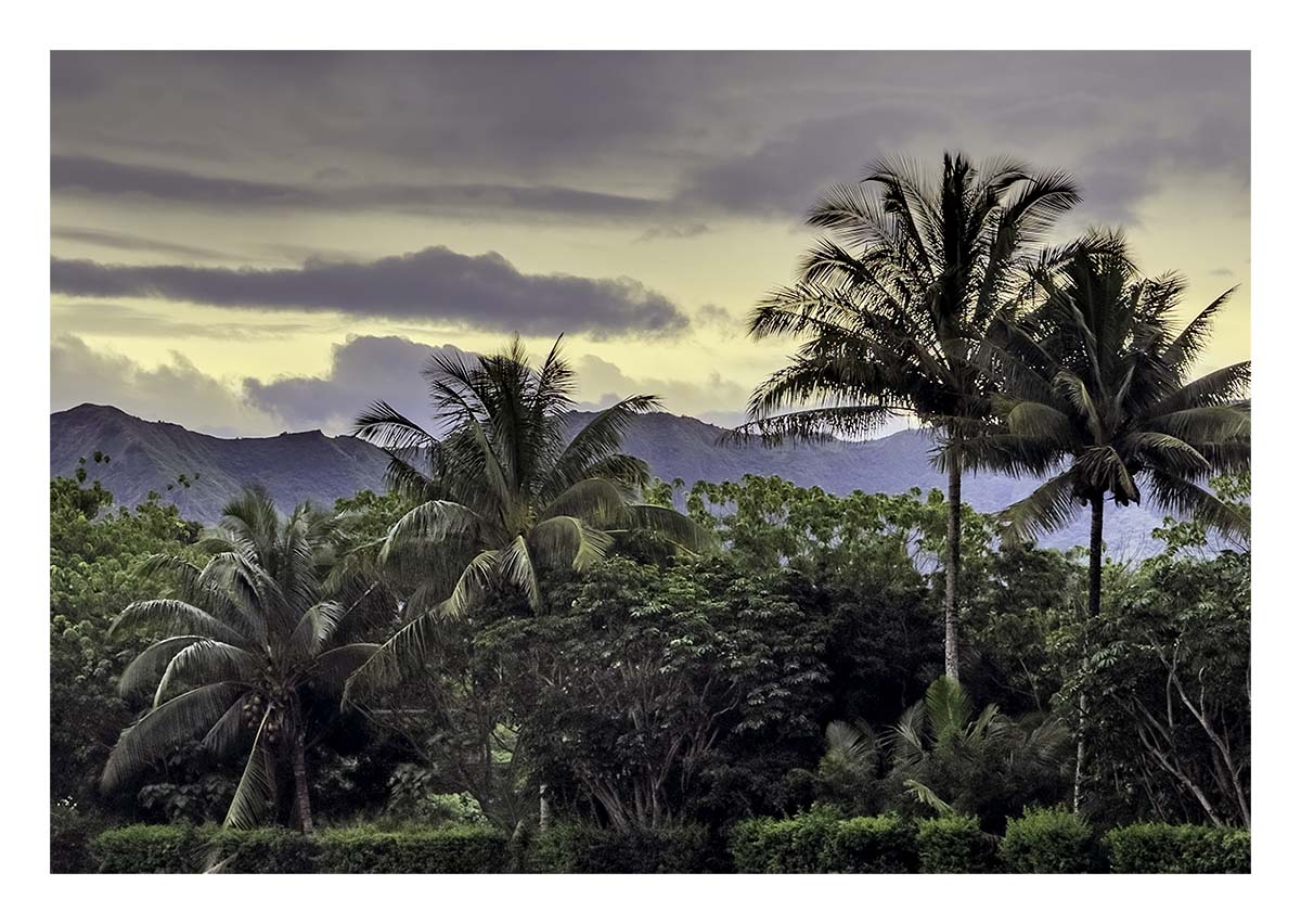 Kilohana Plantation
