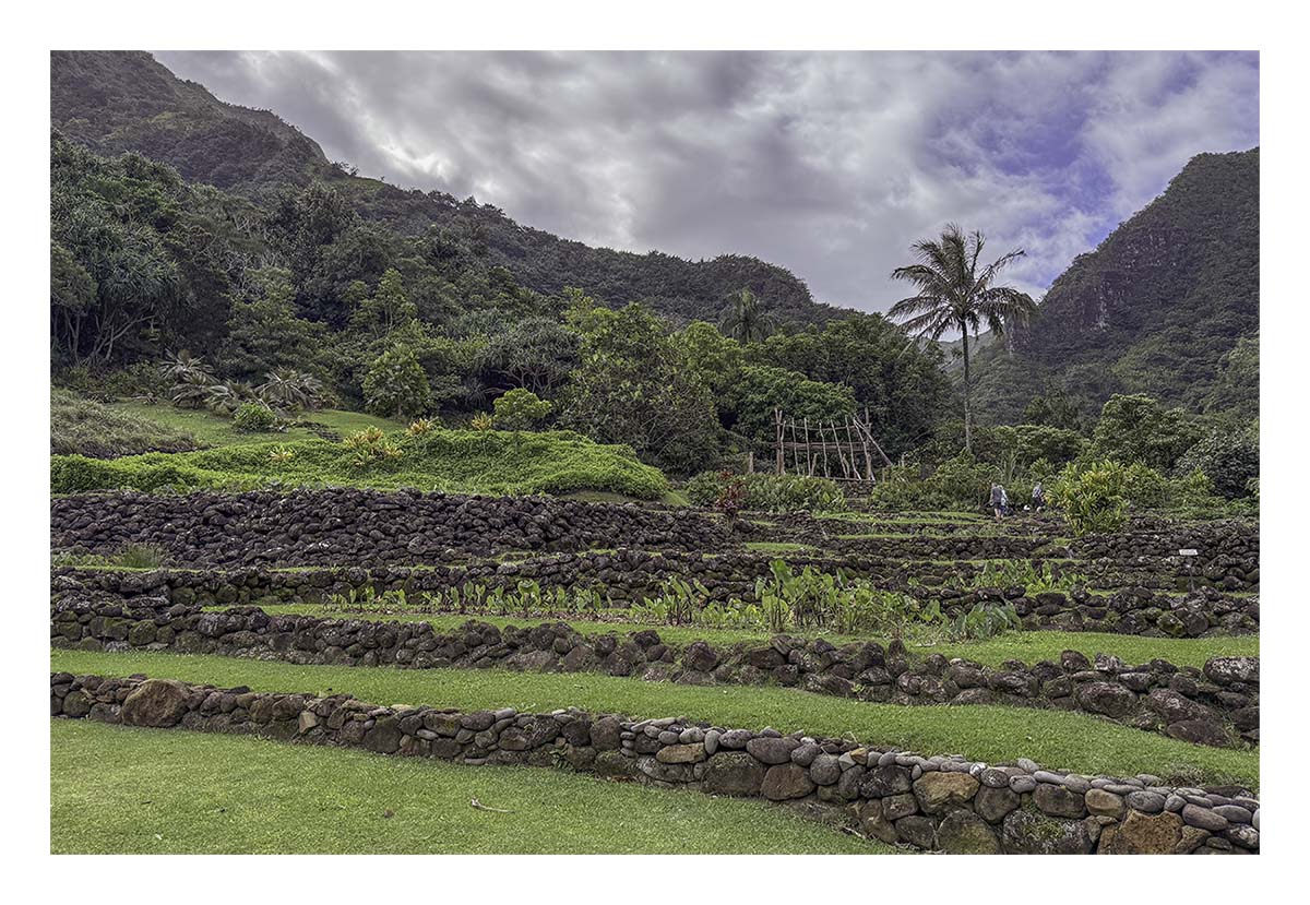 Limahuli Garden