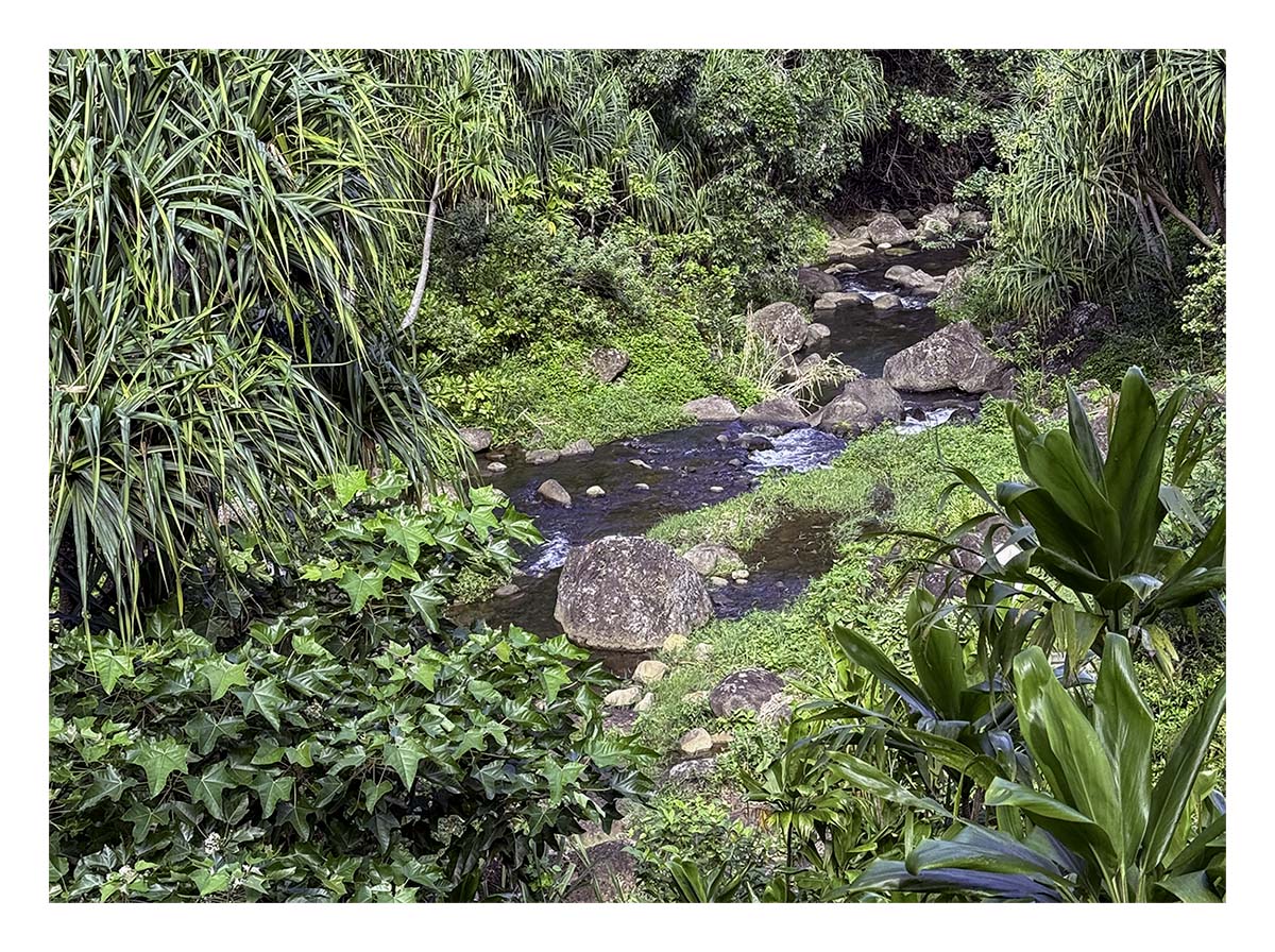 Limahuli Garden