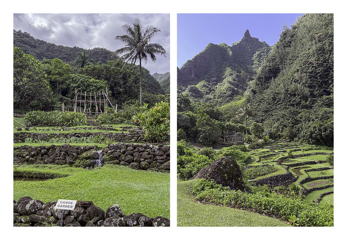 Limahuli Garden