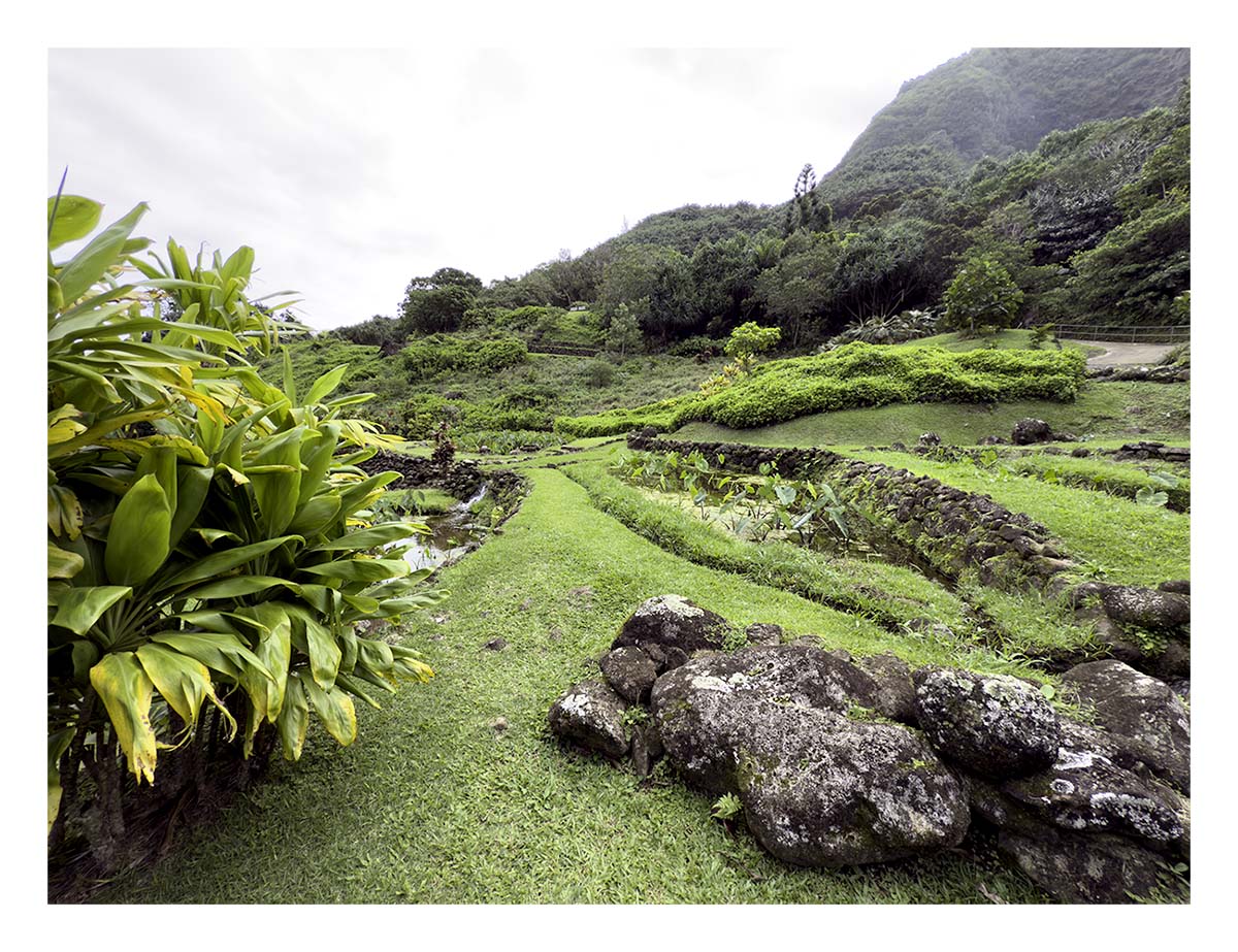 Limahuli Garden