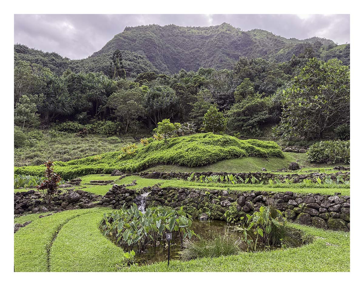 Limahuli Garden