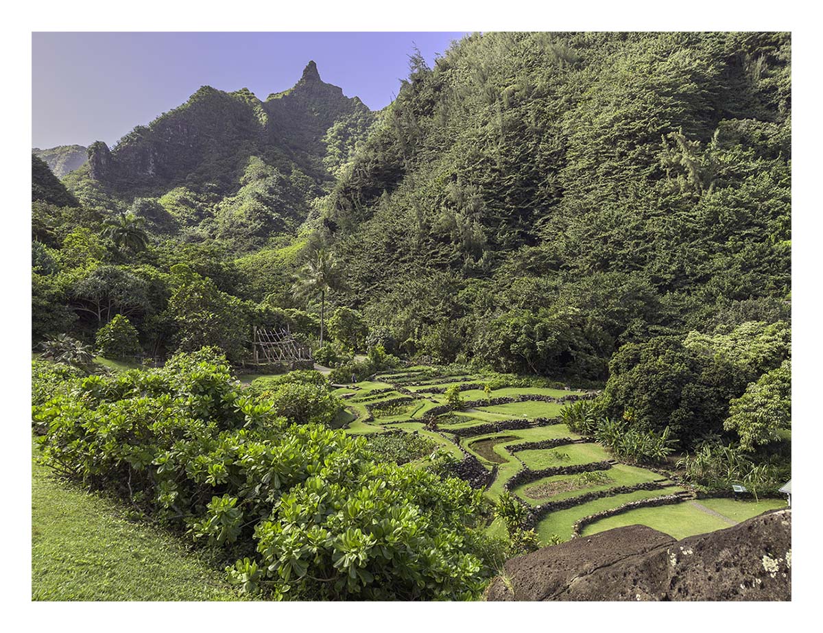 Limahuli Garden