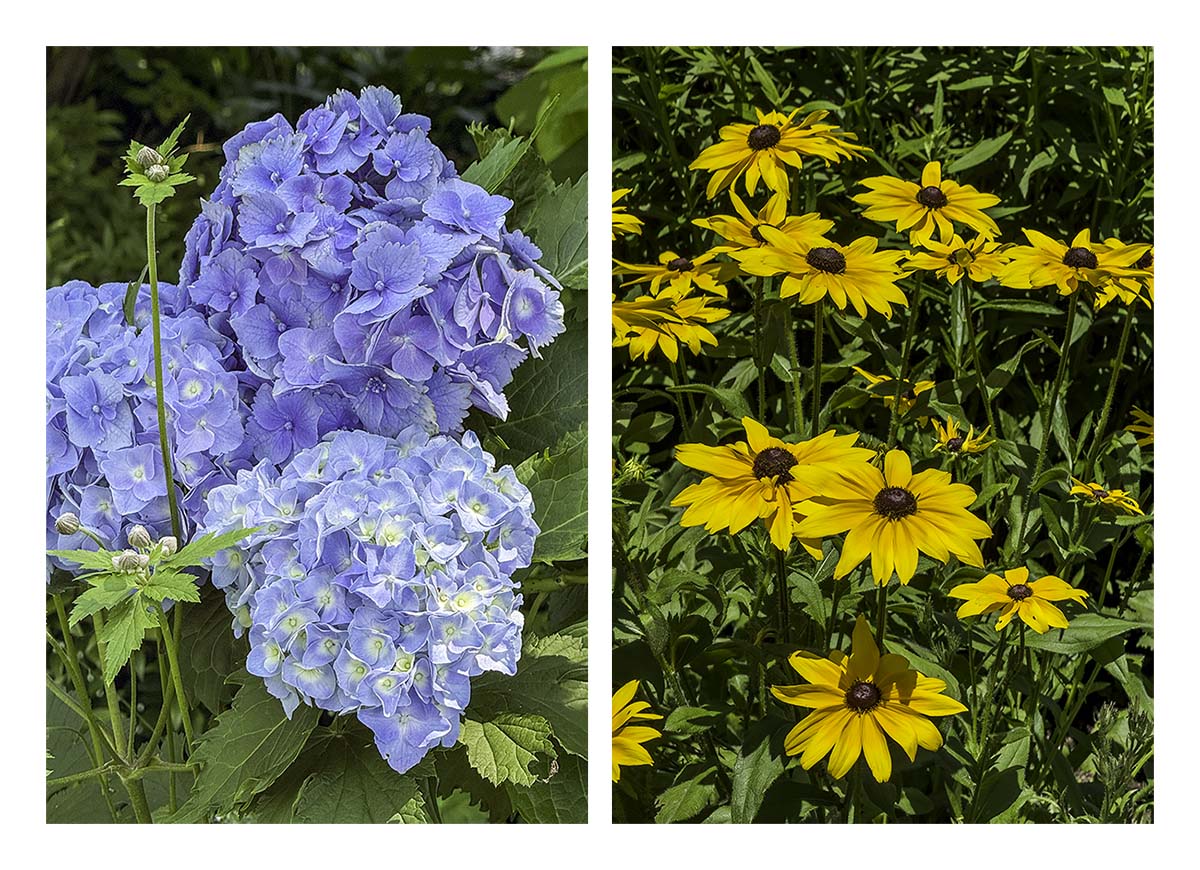 Westbury Gardens