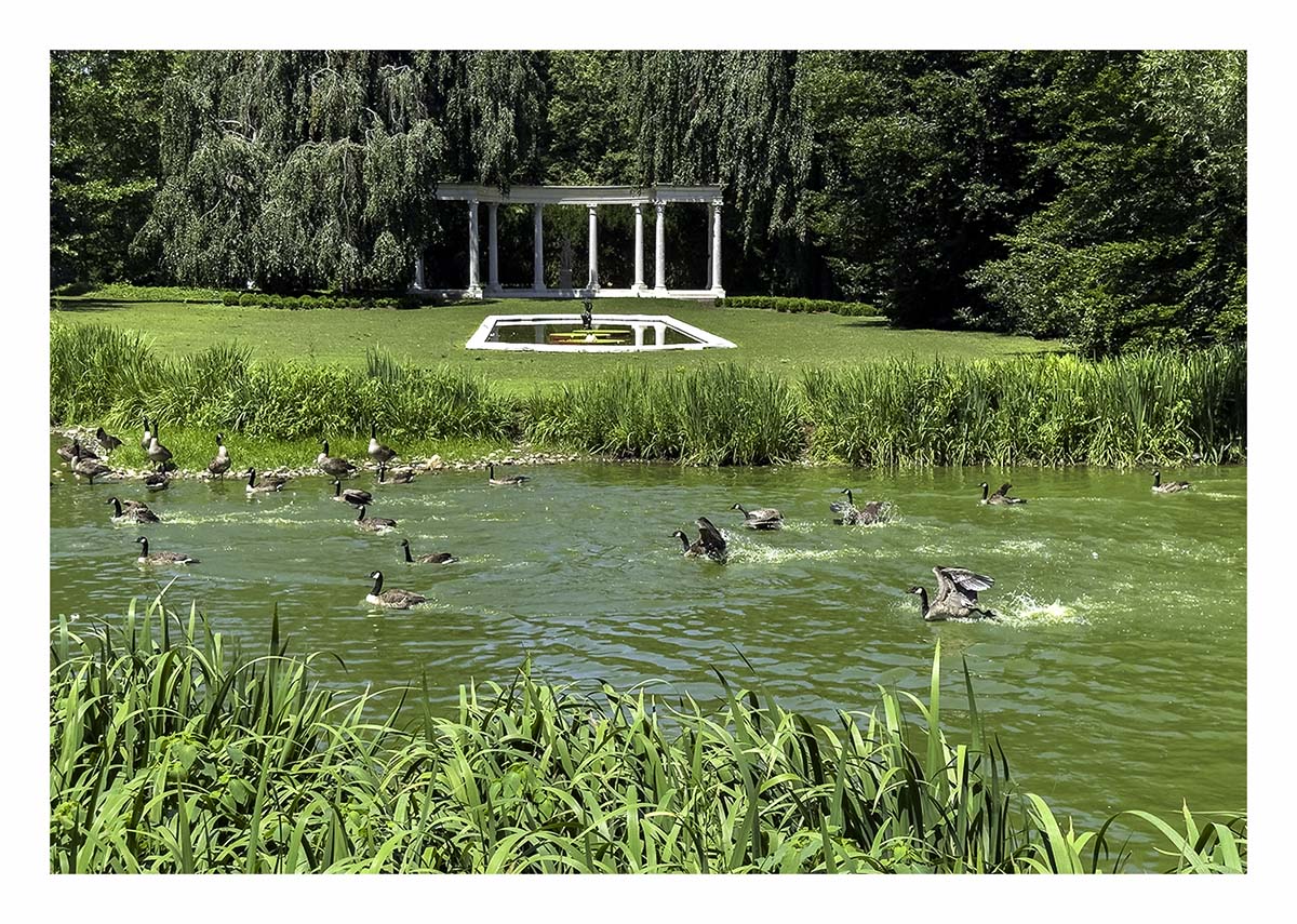Westbury Gardens