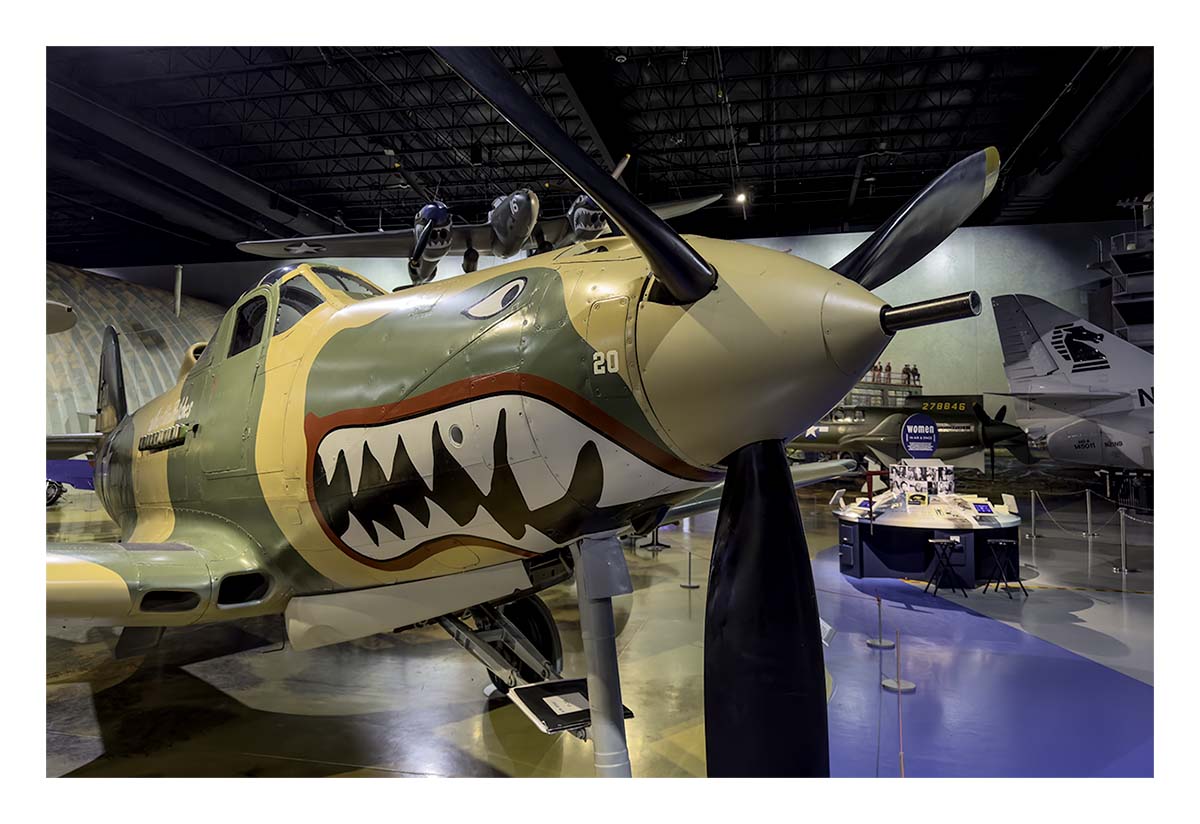 Air-Zoo Museum