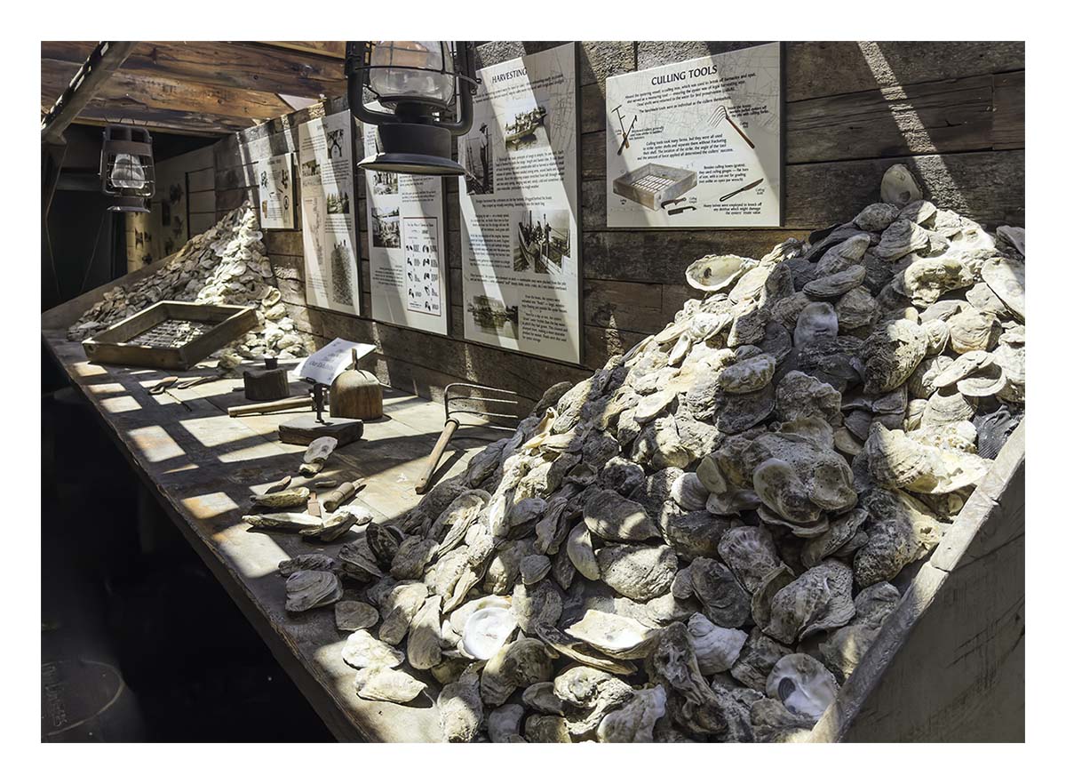Long Island Maritime Museum