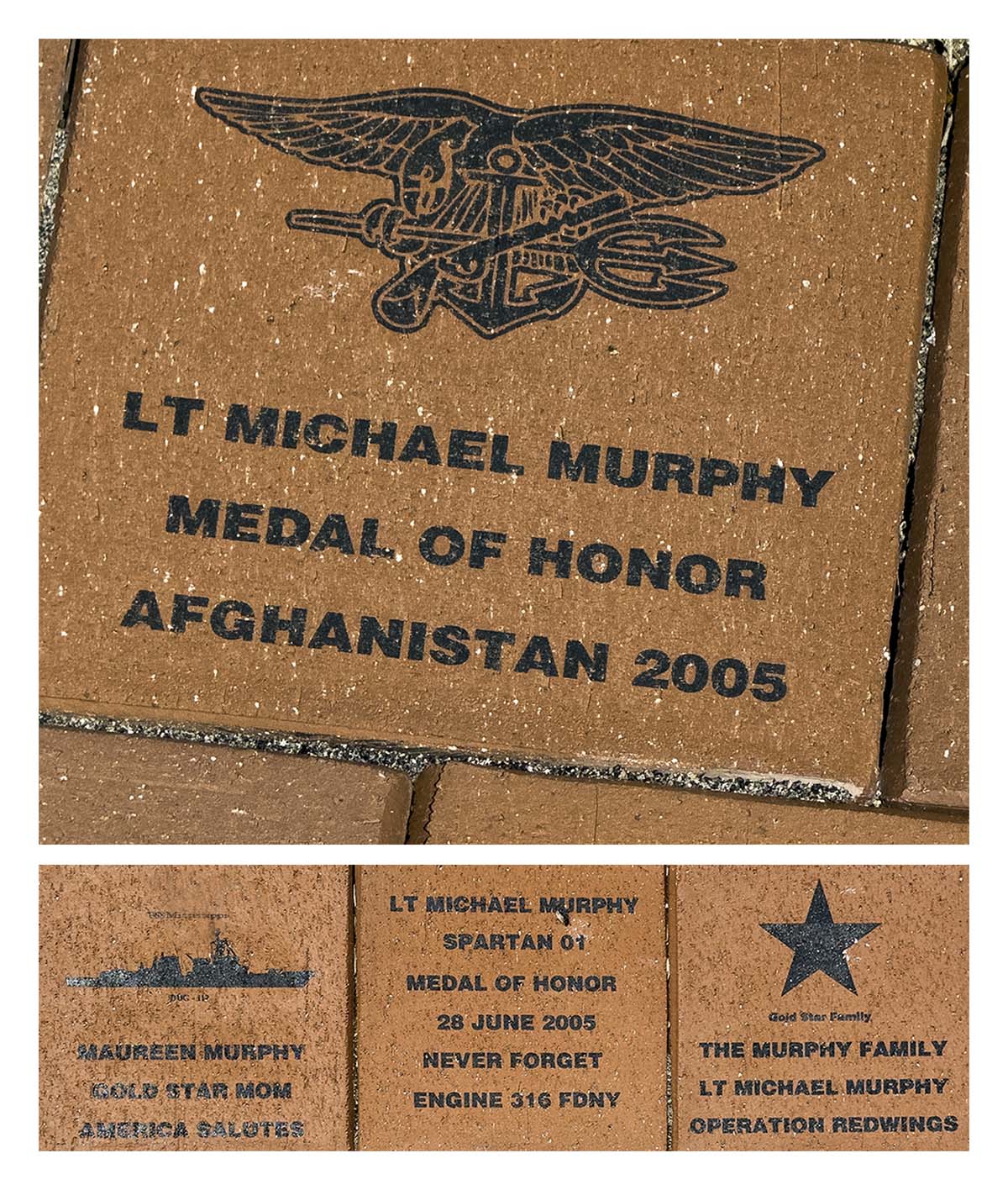 Lt; Michael P. Murphy Nave SEAL Museum