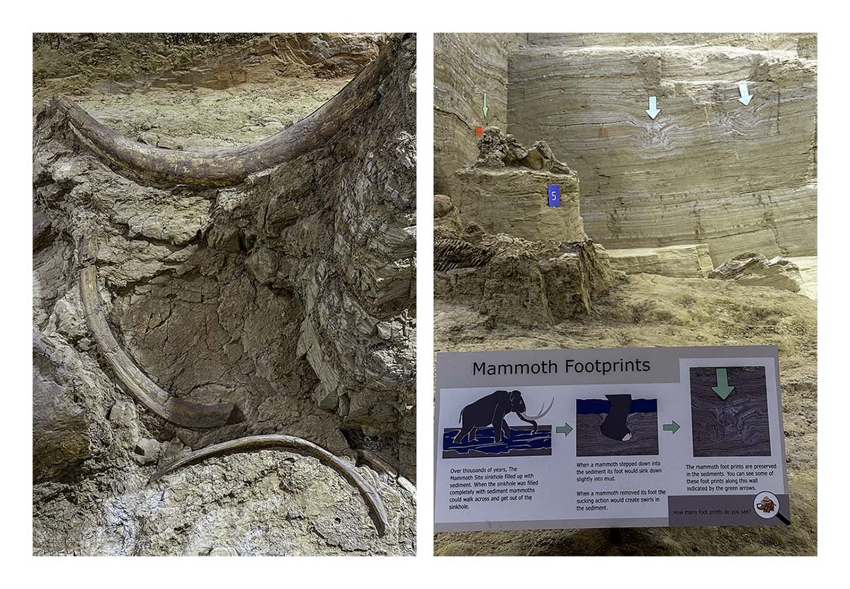 The Mammorth Site