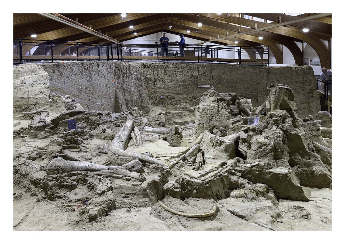 The Mammorth Site