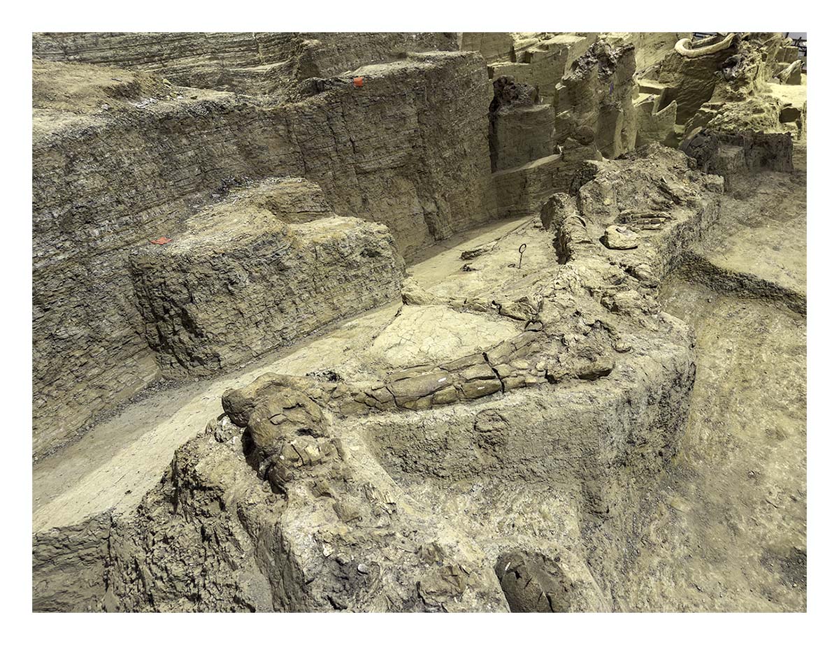 The Mammorth Site