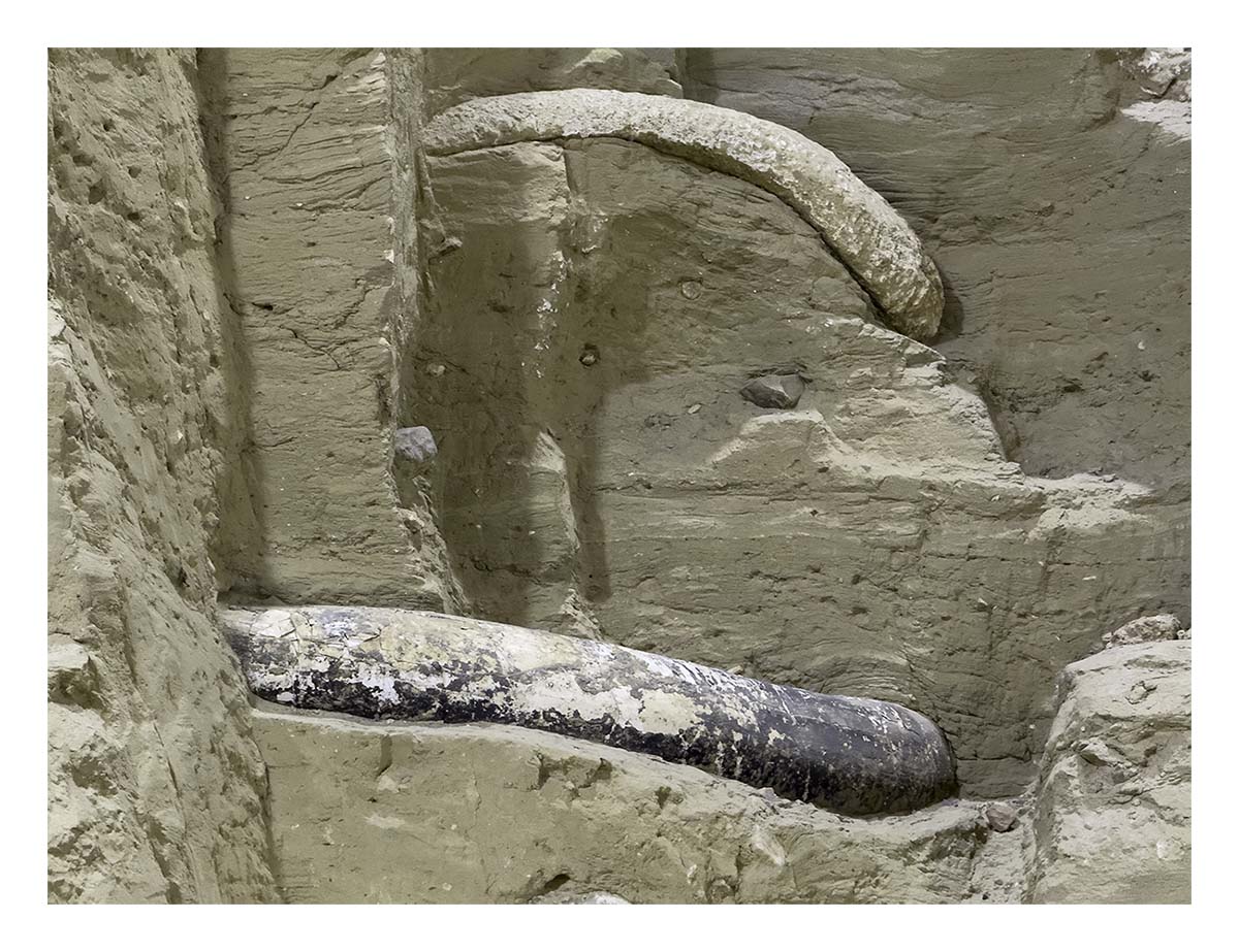 The Mammorth Site