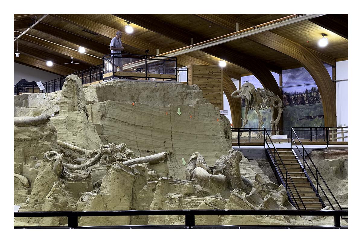 The Mammorth Site