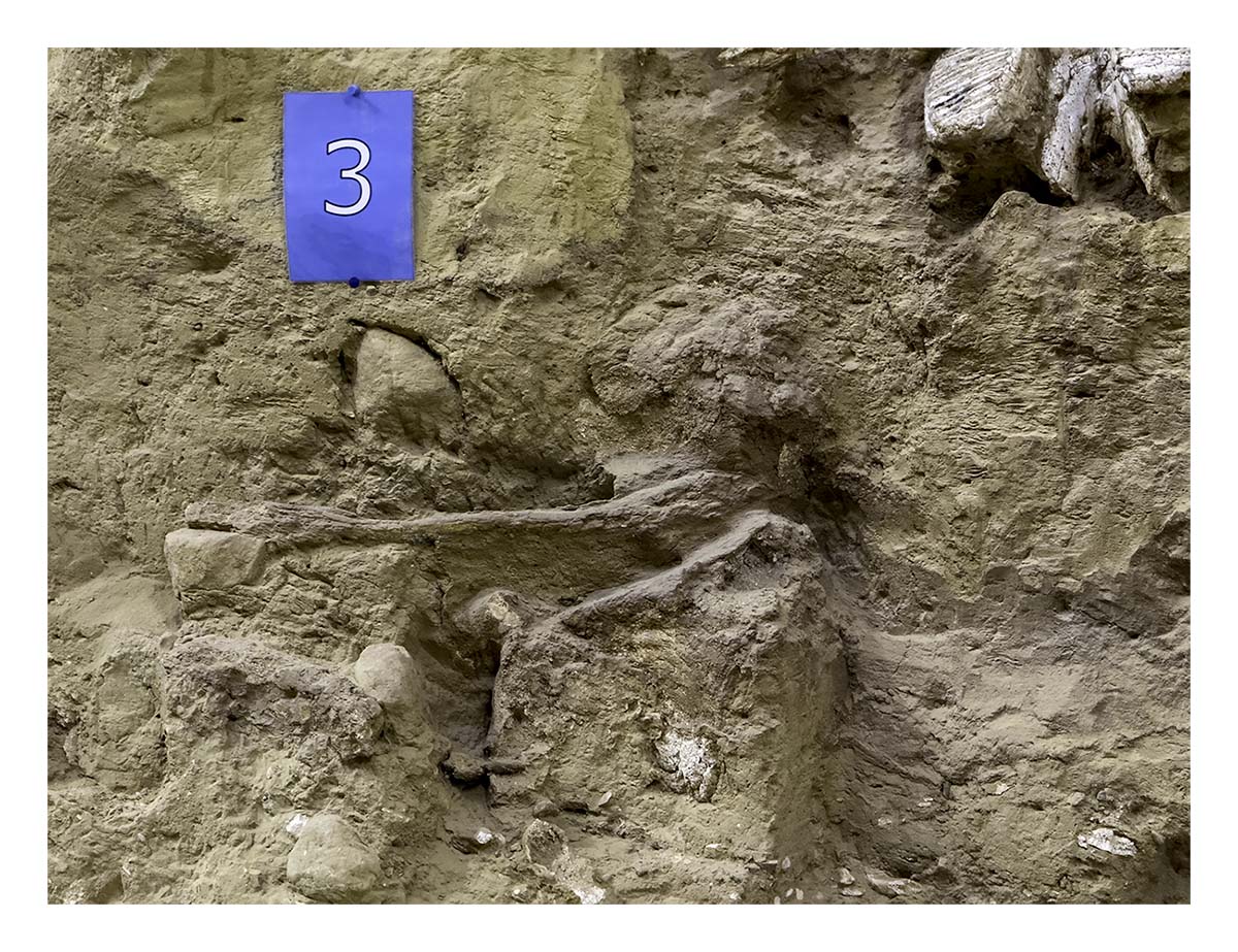 The Mammorth Site
