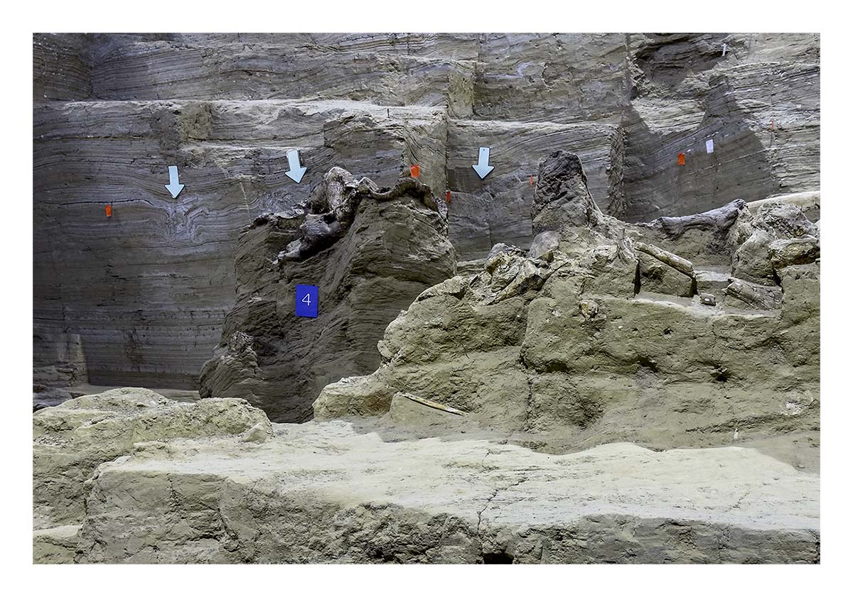 The Mammorth Site