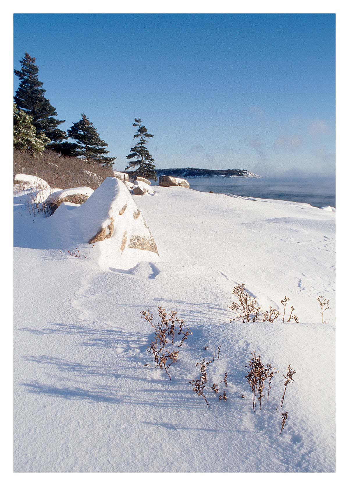 Acadia NP