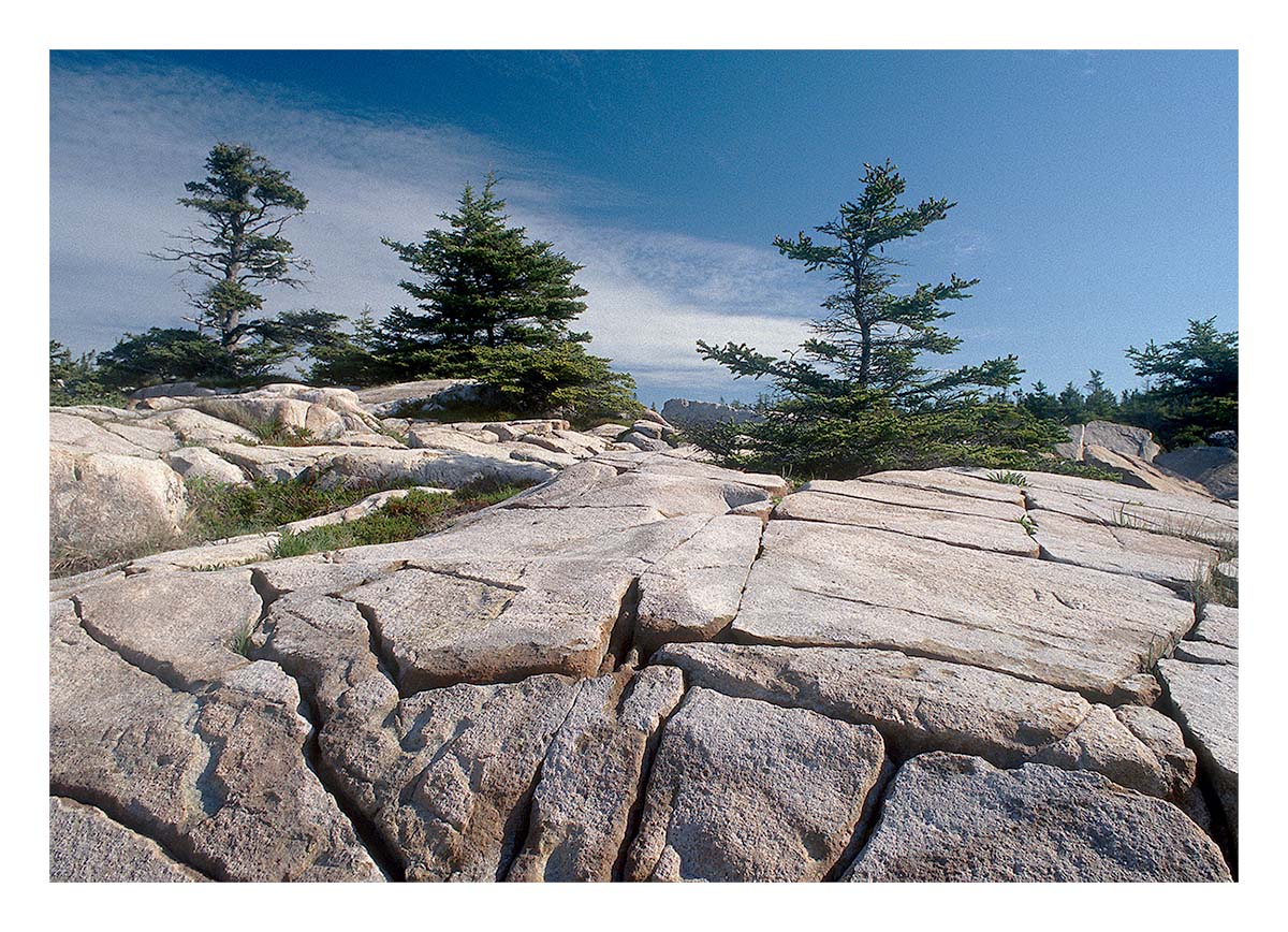 Acadia NP
