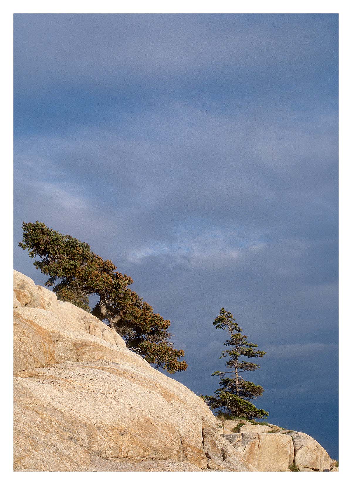 Acadia NP