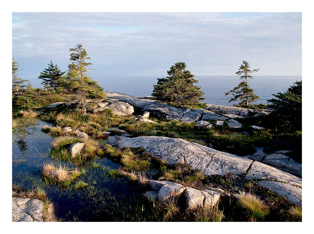 Acadia NP