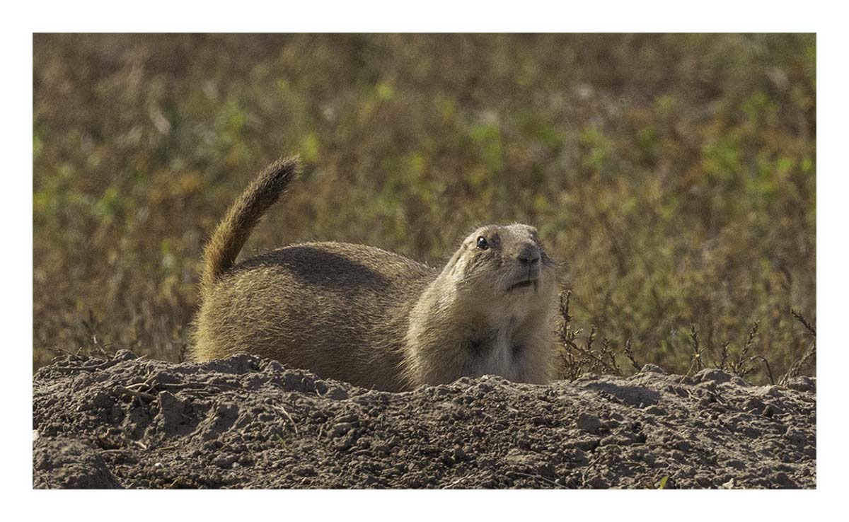 Badland National Park