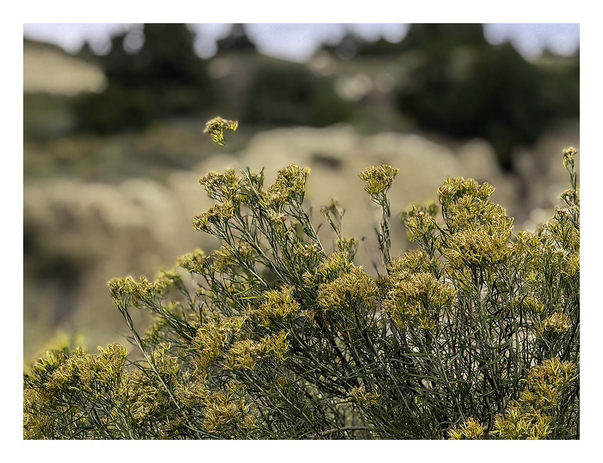 Badland National Park