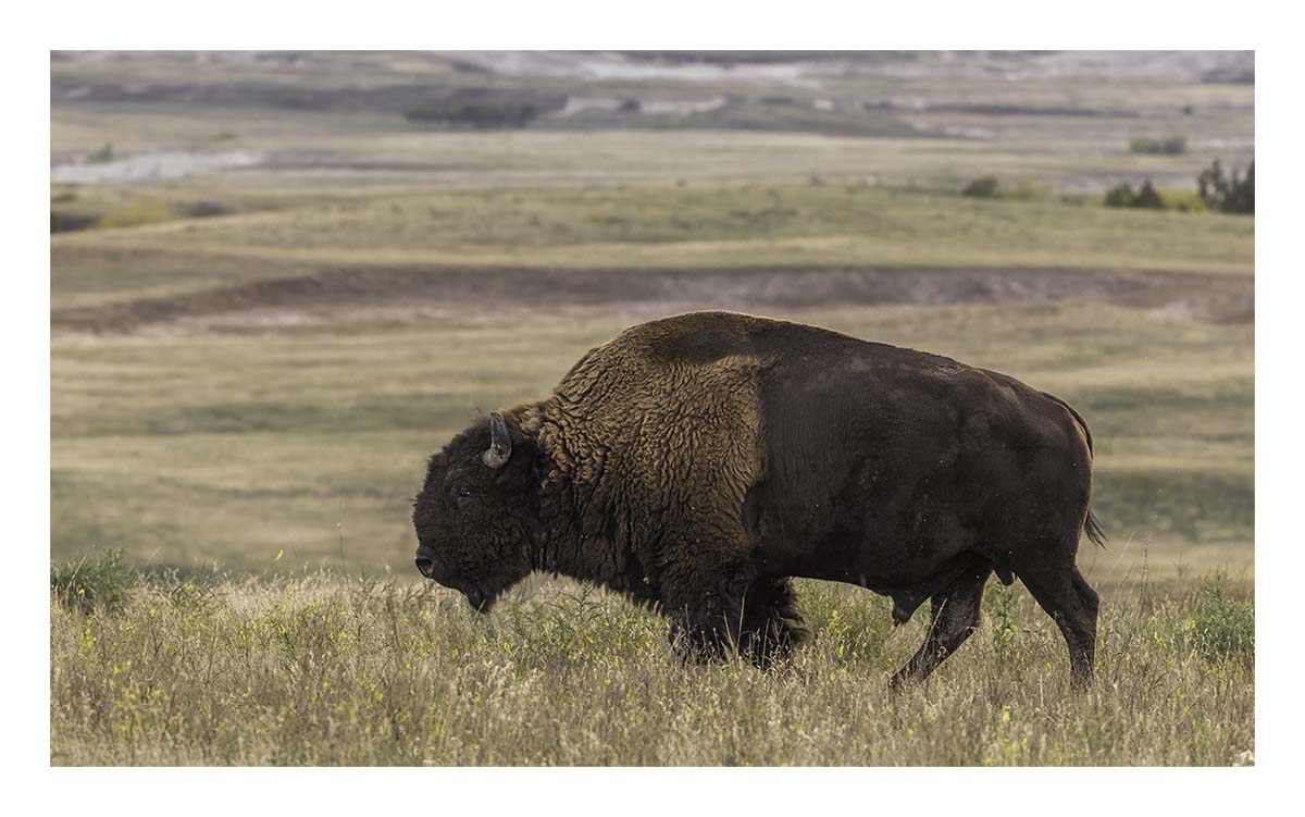 Badland National Park